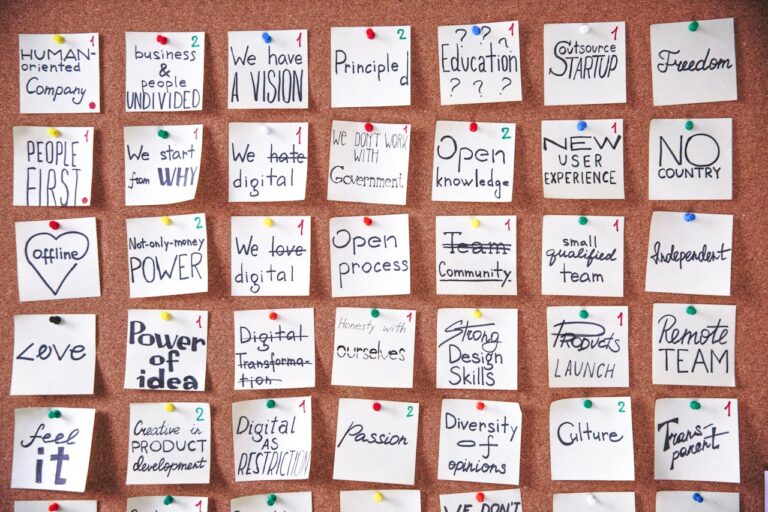 VDC_Multiples priorités, conflits de ressources, gestion des risques.