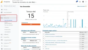 Formation Google Analytics : Guide Complet pour Maîtriser les Données et Choisir les Meilleurs Cours en Data Marketing