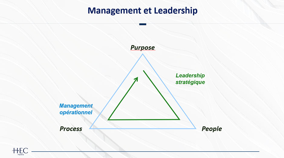 Formation Leadership : Devenir Leader et Développer les Compétences Managériales