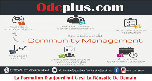 Formation Réseaux Sociaux: Maîtriser les Médias Sociaux pour Devenir Community Manager